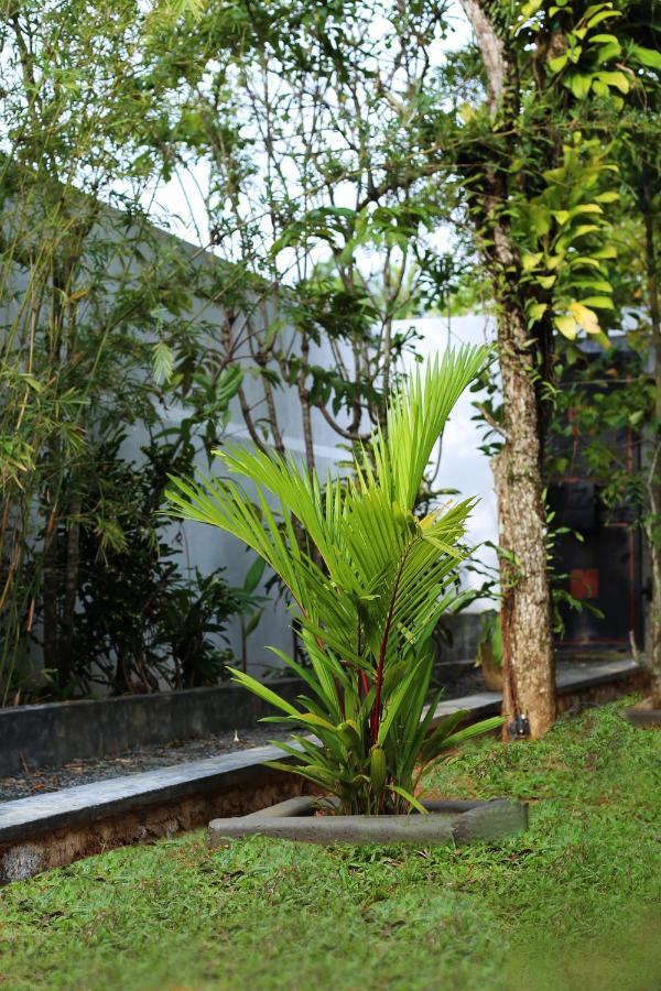 Triple Edge Villa Unawatuna Exterior photo